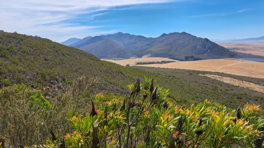 0 Bedroom Property for Sale in Caledon Rural Western Cape